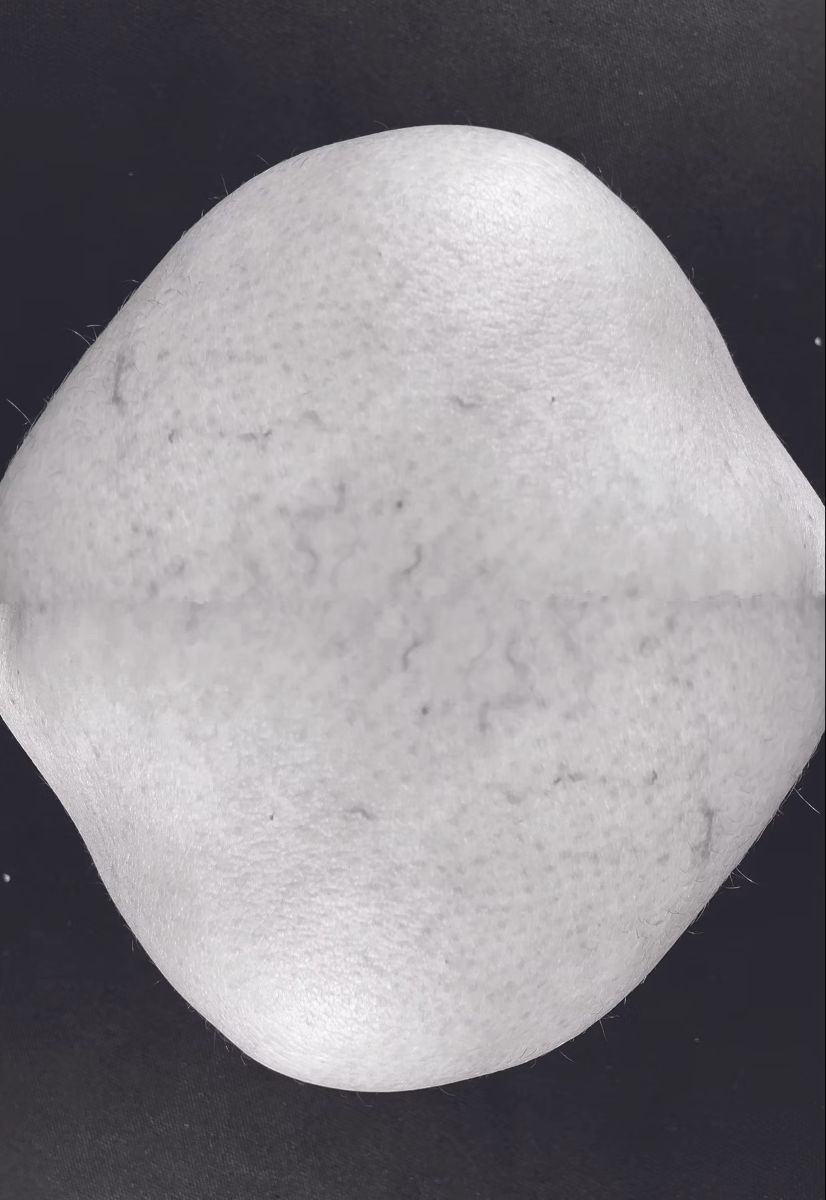 Lauren Blankstein, Asteroid, from Biomorphic photography series, Photograph, Dimensions variable, 2024| Working Artist Org. Lauren Blankstein, Asteroid, from Biomorphic series, Photograph, Dimensions variable, 2024